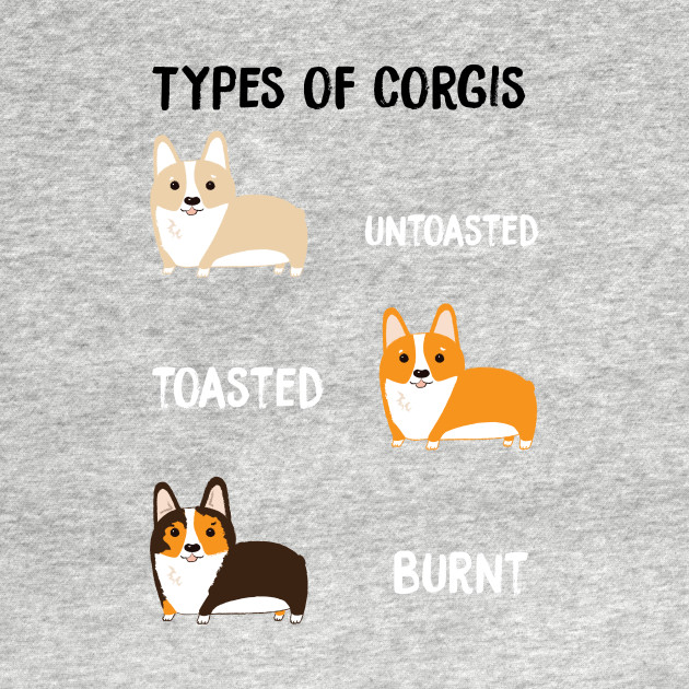 Corgi Size Chart