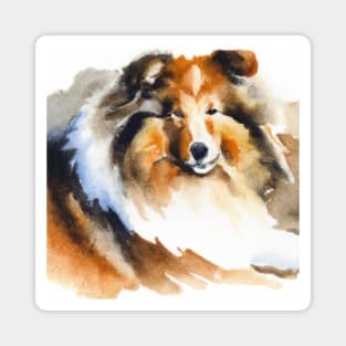 Shetland Sheepdog Watercolor Painting - Dog Lover Gifts Magnet