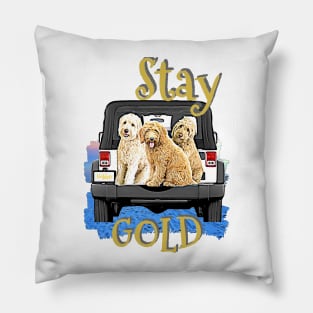 GOLD Doodles Pillow