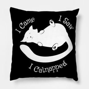 I Came I Saw Catnapped Cute Cat Pillow