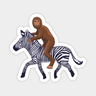 Washington Zebra and Bigfoot Magnet