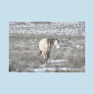 Wild horses, Arizona, nature, wildlife, gifts T-Shirt