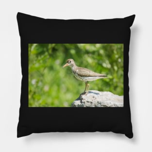 Sandpiper Pillow