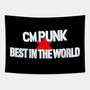 CM Punk Best In The World Tapestry