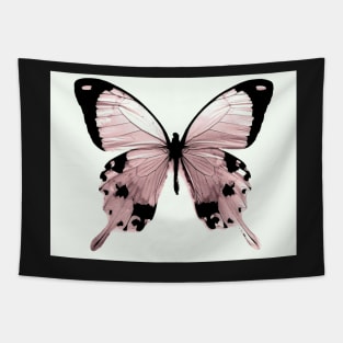 pink peach butterfly specimen natural history botanical Tapestry