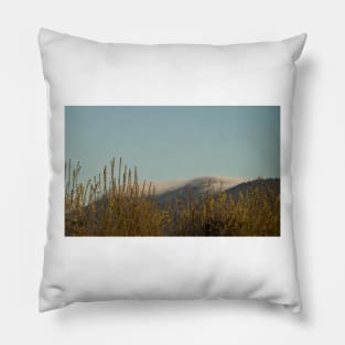 91416 high winds Pillow