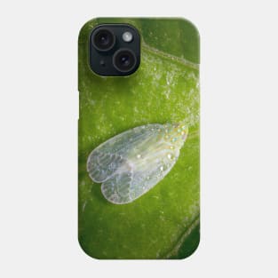 Unique and organic photo of a dew-covered planthopper Phone Case