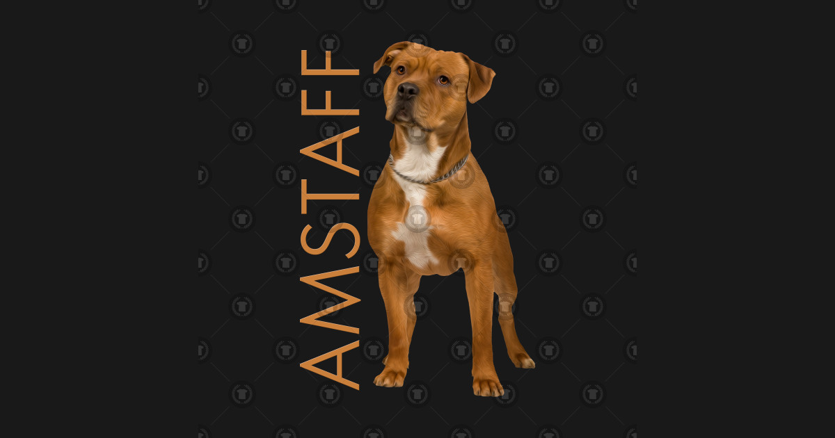 Amstaff Puppy Growth Chart