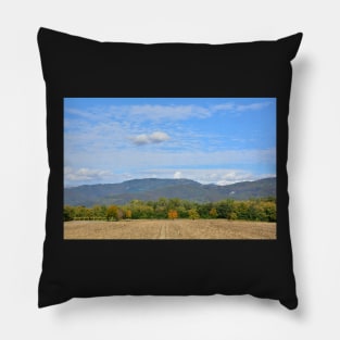 Autumnal Field Pillow