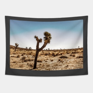 Joshua Tree National Park, California Tapestry