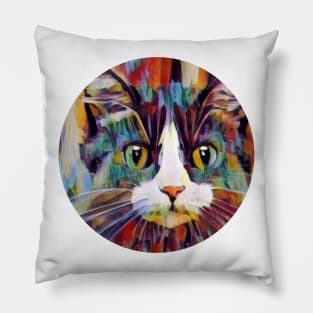 Fun floppy cat Pillow