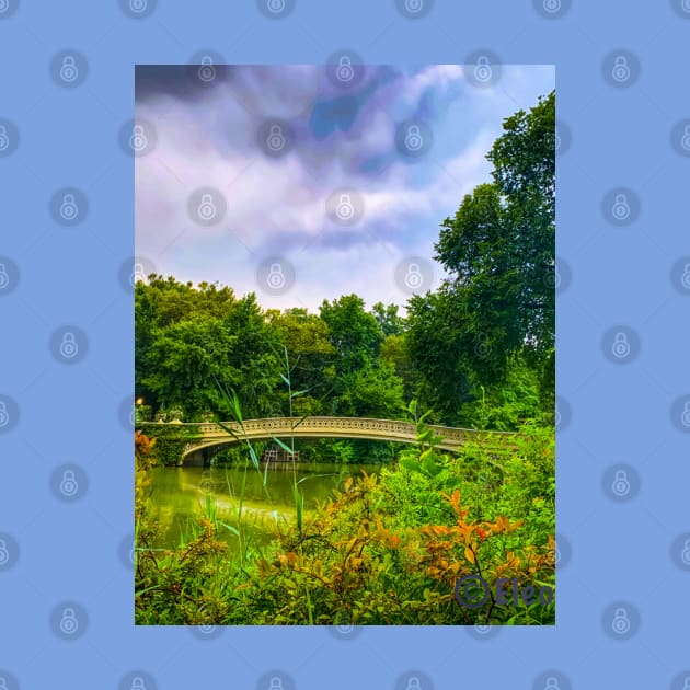 Bow Bridge Nature Lake Trees Central Park Manhattan New York City by eleonoraingrid