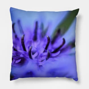 Cornflower Pillow