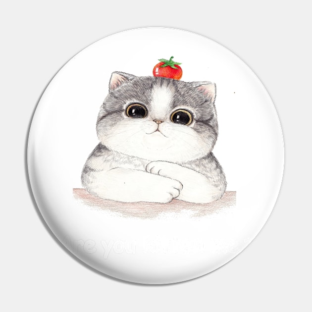 Are you kitten me ? Pin by Hussein@Hussein