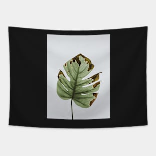 Monstera, Leaf, Green, Plant, Tropical, Nature print Tapestry