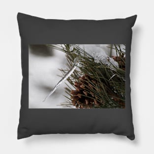 March Freeze Pillow