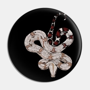 Red Tailed Boa Pin