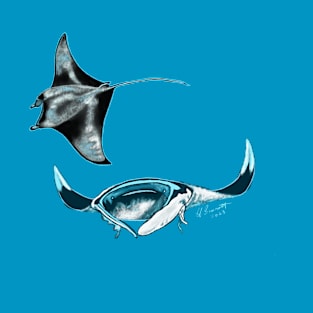 Manta Ray Play T-Shirt