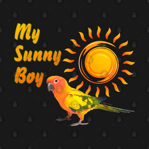 Sun Conure Parrot Sunny Sunshine Boy by Einstein Parrot