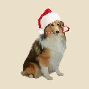 Xmas Sheltie T-Shirt