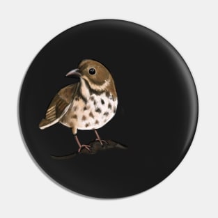 Hermit Thrush Pin