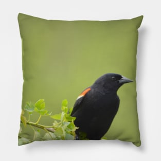 red wing black bird Pillow