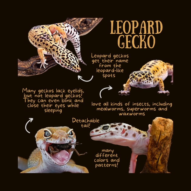 Animal Facts - Leopard Gecko by Animal Facts and Trivias