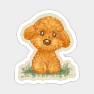 Toy Poodle Magnet