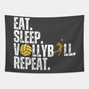 Eat Sleep Volleyball Repeat Kids Adult Women Retro Vintage Tapestry