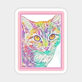 Colourful Kits (pastel kitty w/ pink border) Magnet