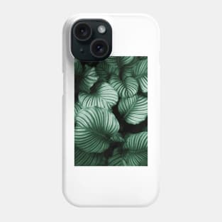 Tropical Lush Palm Leaves Phone Case