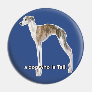 A Dog Who Is Tall Pin