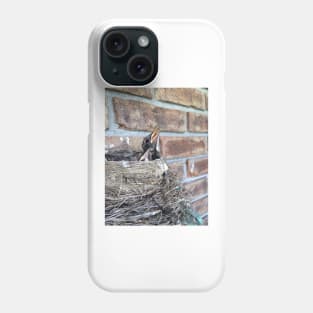 Peaking Out the Nest Phone Case