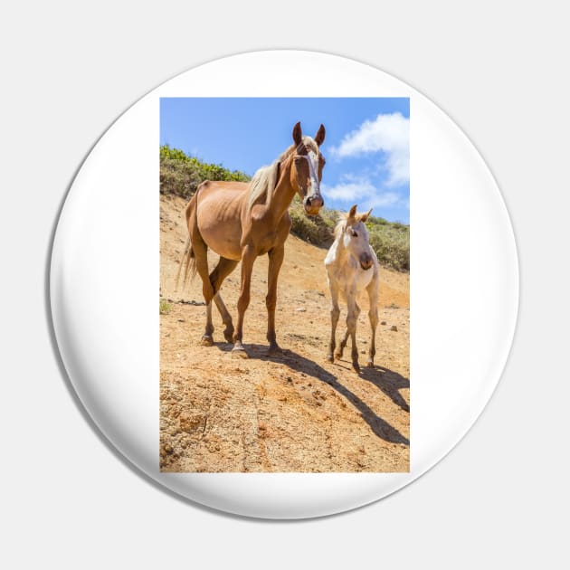 Wild Horse with Foal at Rano Raraku Crater - Rapa Nui - Easter Island Pin by holgermader