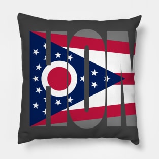 Ohio Home - State Flag Pillow