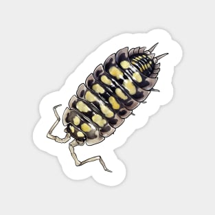 Porcellio haasi Isopod Magnet