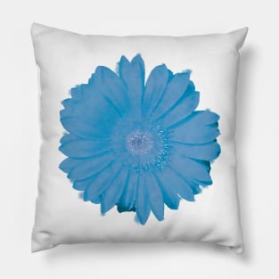 Blue Daisy Flower Pillow