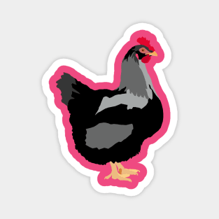 Black Backyard Chicken Magnet