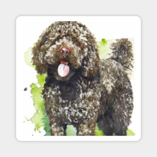 Lagotto Romagnolo Watercolor - Dog Lovers Magnet