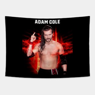 Adam Cole Tapestry