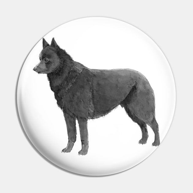 Schipperke Pin by doggyshop