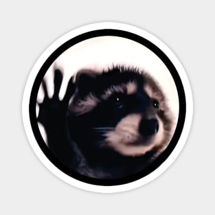 Damen Pedro Racoon Dance Popular Internet Meme RACOON DAY Magnet