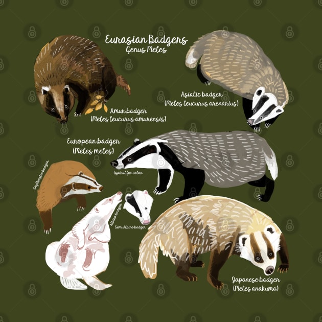 Badgers Meles Genus Poster by belettelepink