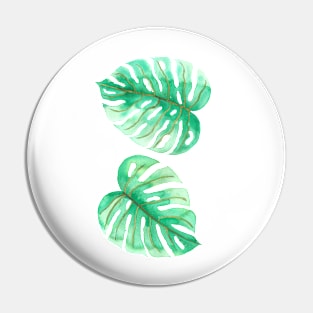 Monstera leaves Pin