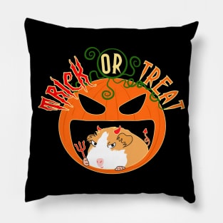 Guinea Pig Halloween Trick or Treat Pillow