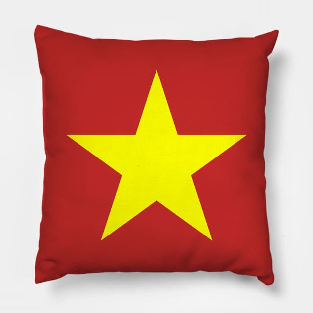 Vietnam Flag Pillow by McNutt