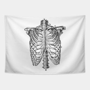 Anatomy lungs Tapestry