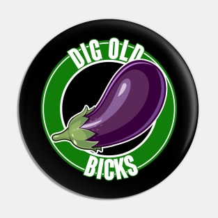 DIG OL BICKS Pin