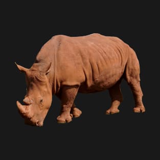 Rhino T-Shirt