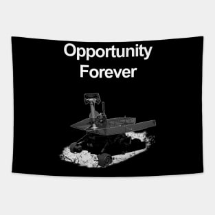 Opportunity Forever Tapestry